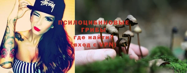 твердый Лабытнанги