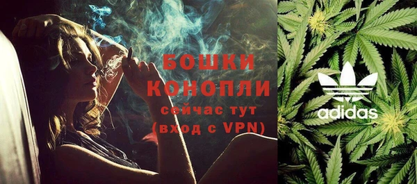 спиды Ладушкин