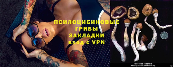 твердый Лабытнанги