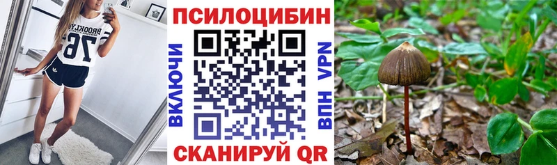 Галлюциногенные грибы Magic Shrooms  Темрюк 