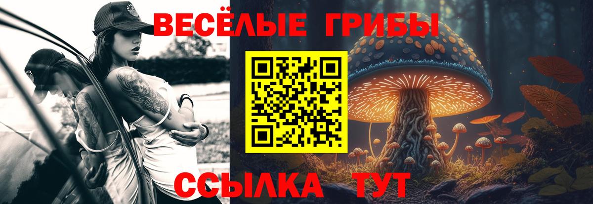 Галлюциногенные грибы Cubensis Темрюк
