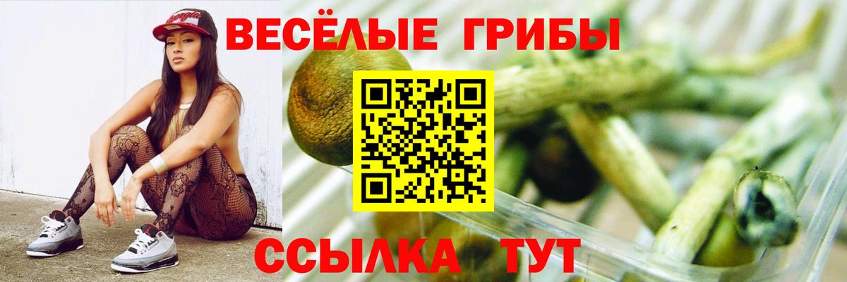 Псилоцибиновые грибы GOLDEN TEACHER  Вход с VPN  Темрюк  Псилоцибиновые грибы GOLDEN TEACHER 
