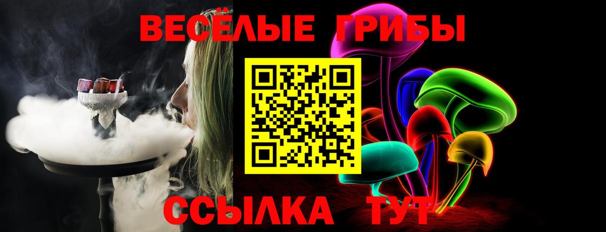Галлюциногенные грибы Psilocybe Темрюк